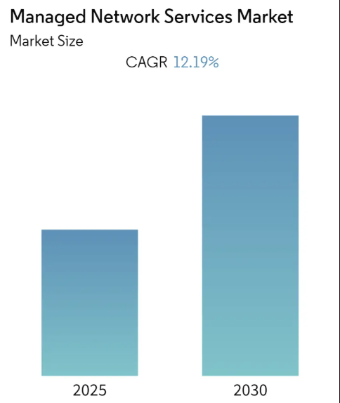 Managed Network Services Market Summary
